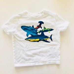 Super Cute Toddler Shark Tee